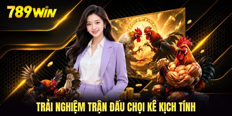 Trải nghiệm trận đấu chọi kê kịch tính